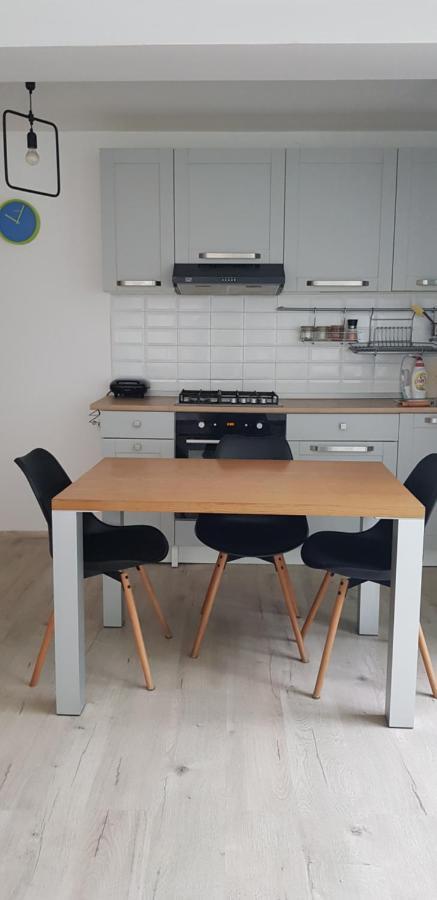 Casa Zorilor Cluj Lägenhet Exteriör bild